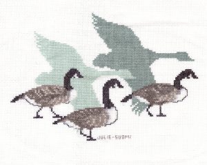 cgeese4